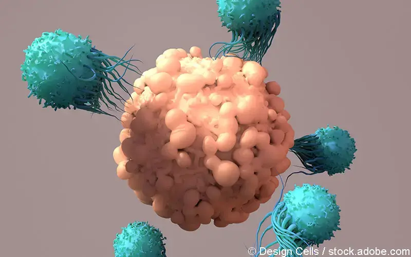 T-Zellen bekämpfen Krebs