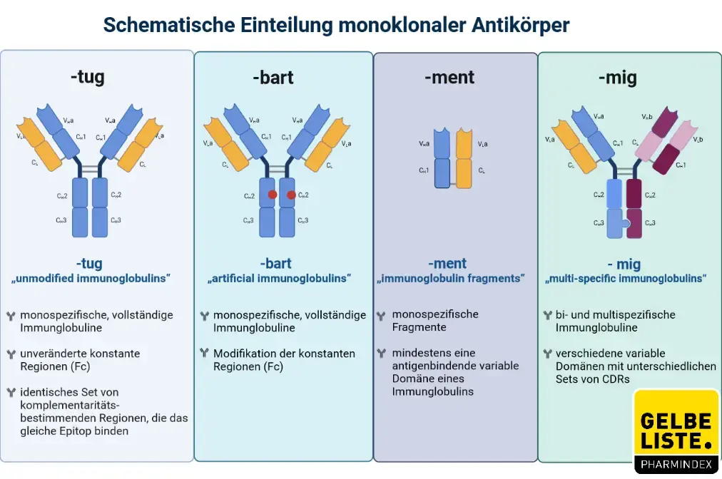Antikörper Nomenklatur