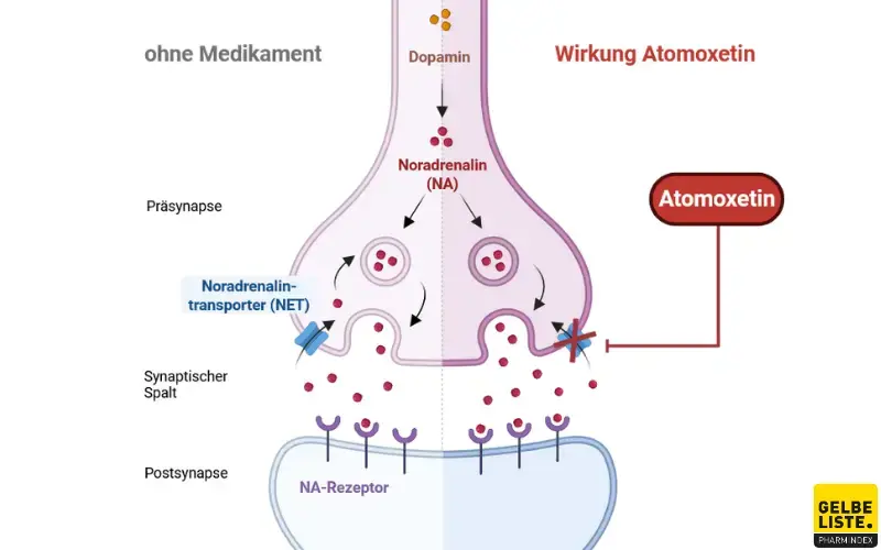 Atomoxetin