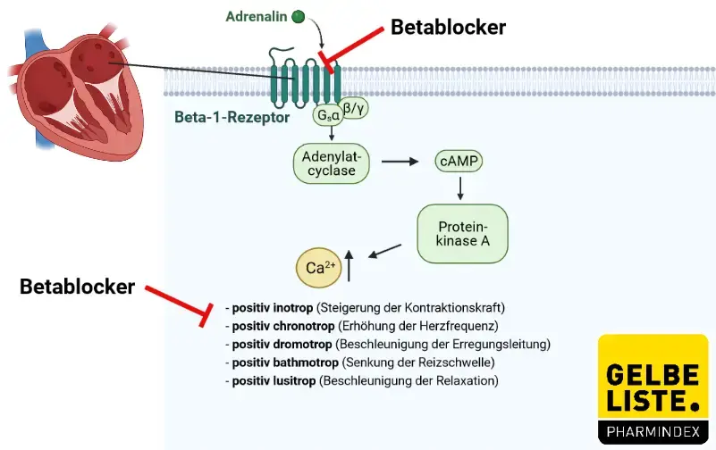 Propranolol bestellen ohne rezept