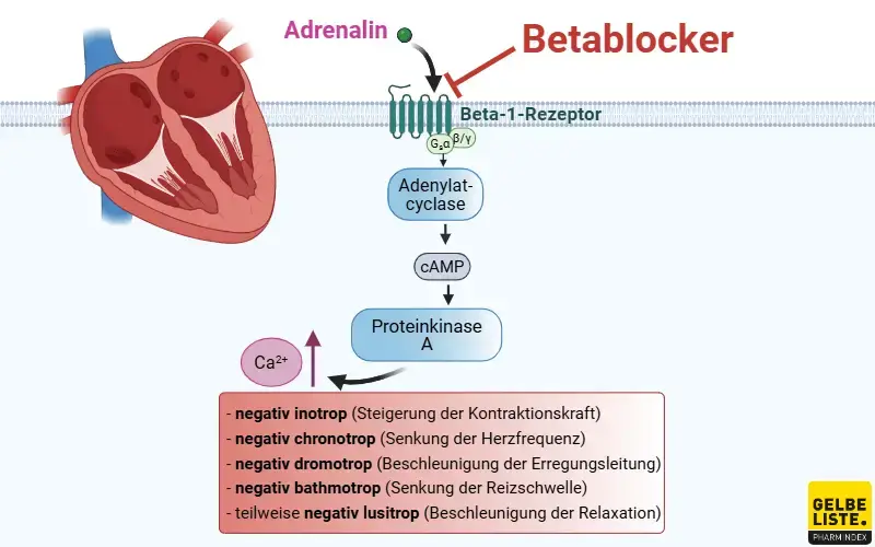 Kaufen inderal generika
