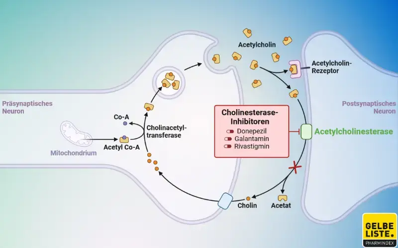Cholinesterase-Inhibitoren