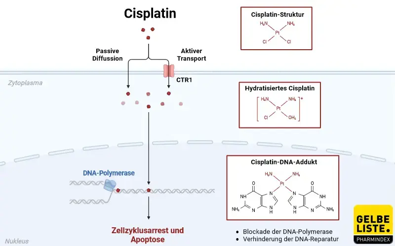 Cisplatin 