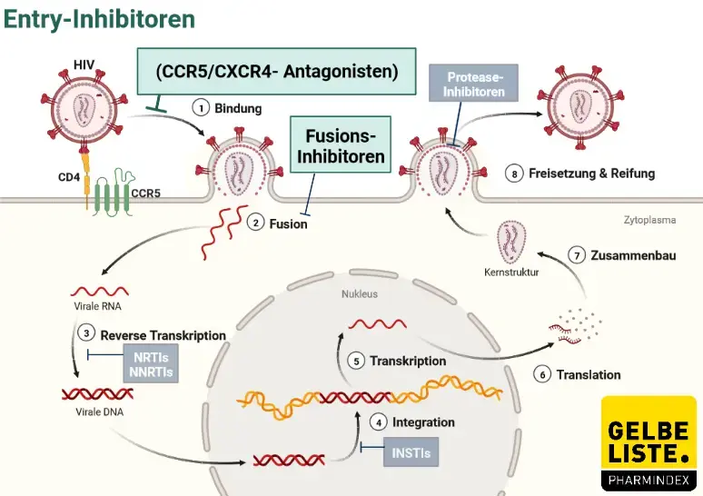 Entry-Inhibitoren
