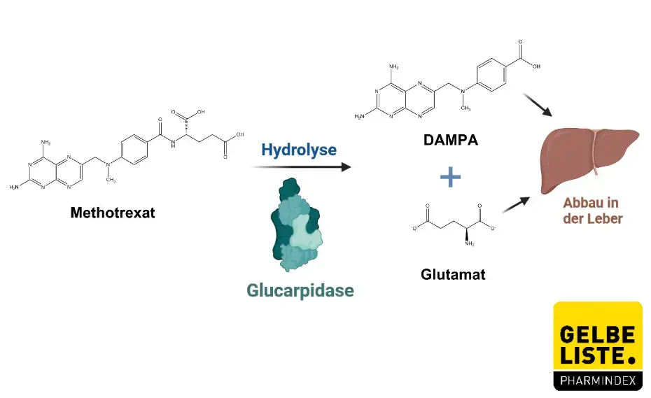 Glucarpidase 