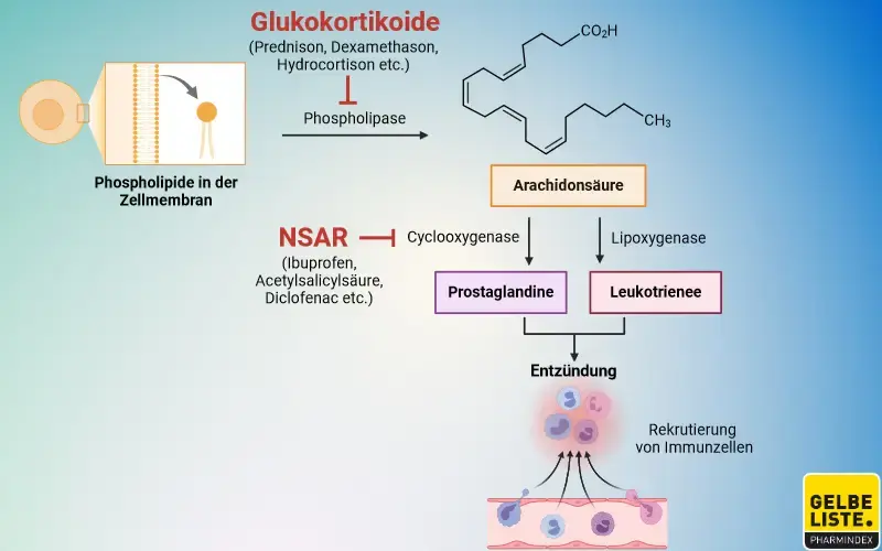 Glukokortikoide NSAR
