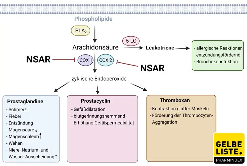 NSAR