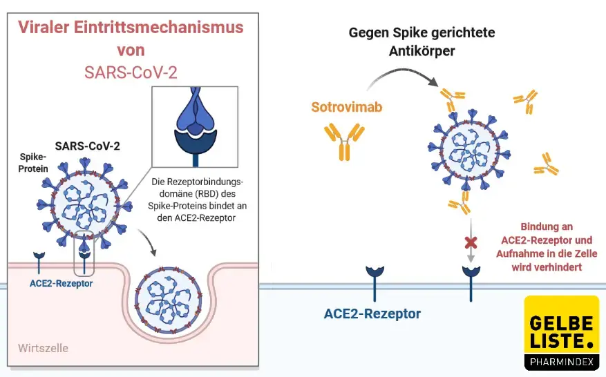 Sotrovimab