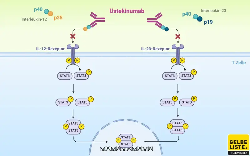 Ustekinumab