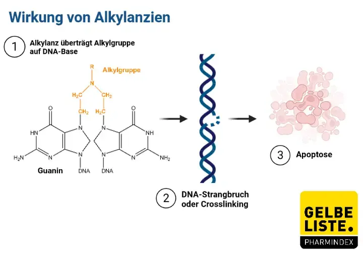 Alkylanzien Alkylanzien