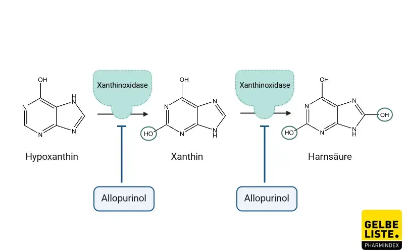 Allopurinol Allopurinol