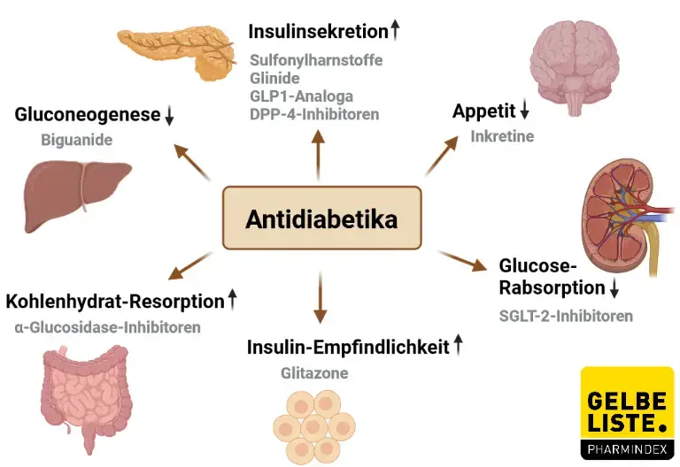 Orale Antidiabetika