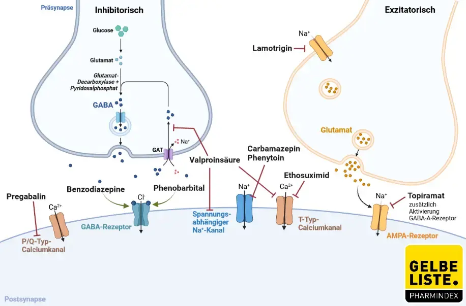 Wirkmechanismus Von Benzodiazepinen