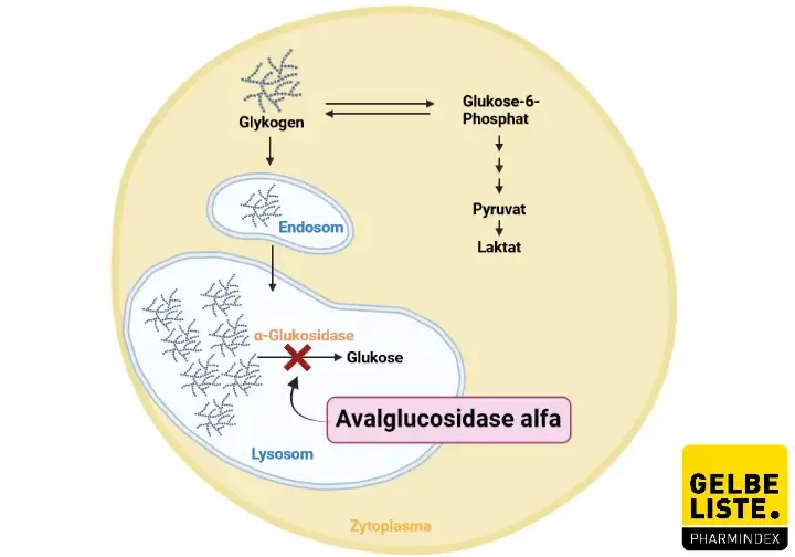 Avalglucosidase alfa 2 Avalglucosidase alfa 2