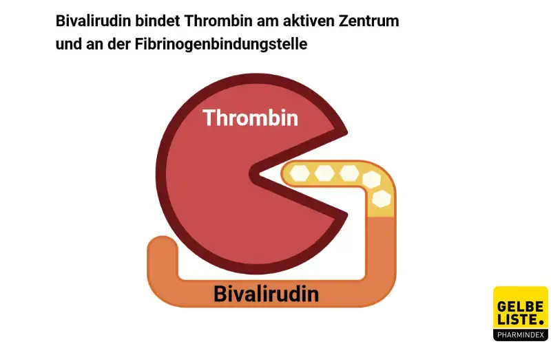 Bivalirudin Bivalirudin