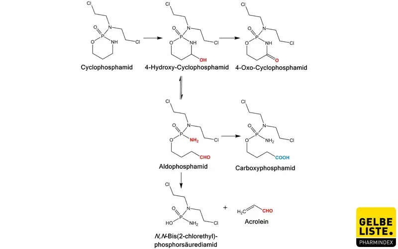 Cyclophosphamid Cyclophosphamid