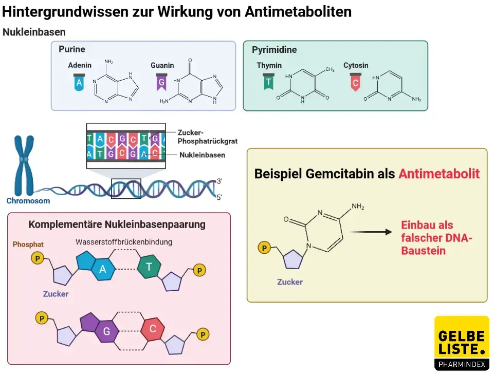 Gemcitabin Gemcitabin