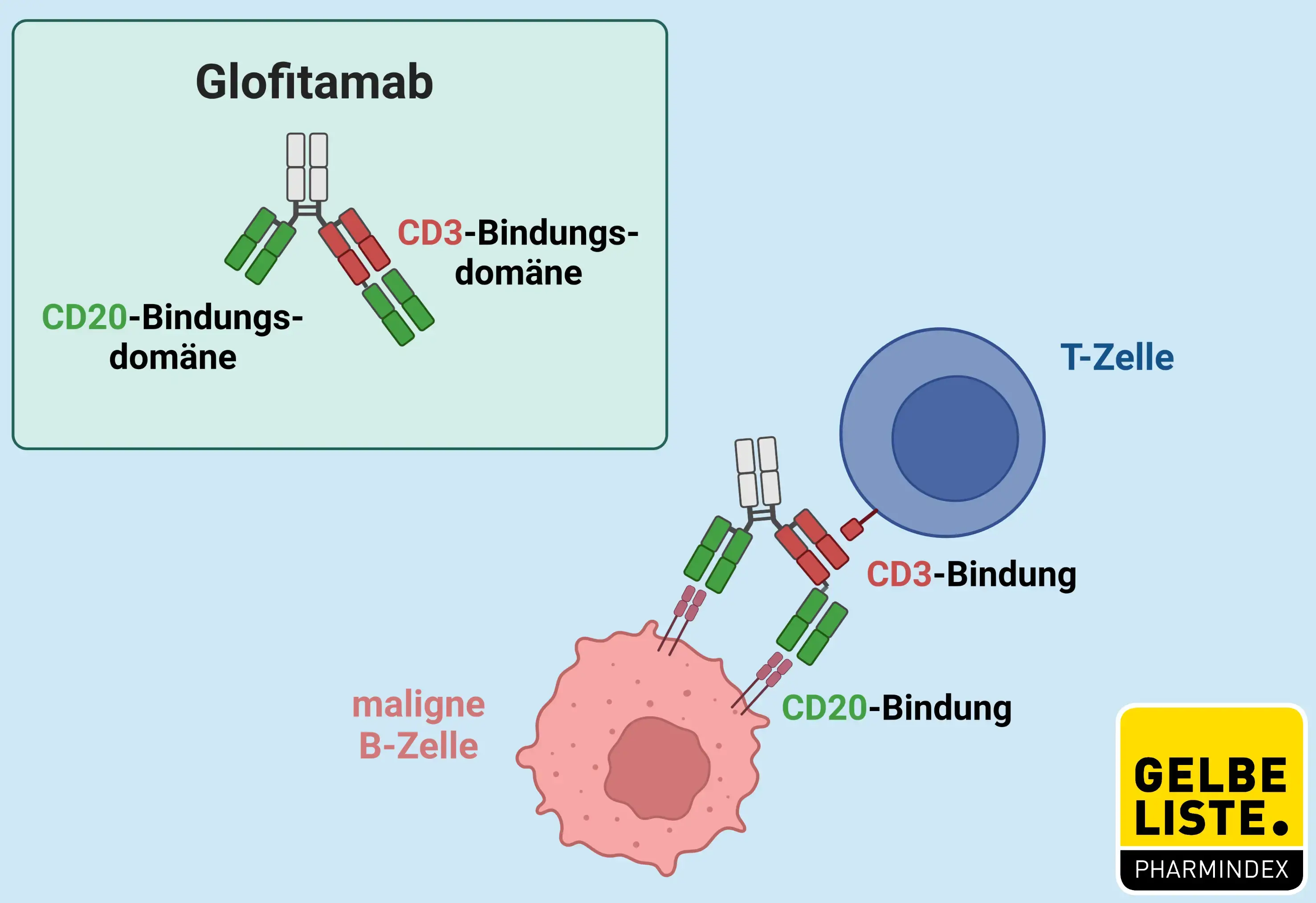 Glofitamab WM Glofitamab WM