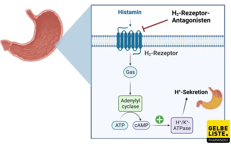 H2-Antihistaminika H2-Antihistaminika