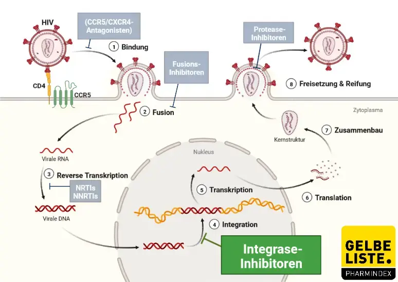 Integrase-Inhibitoren HIV Integrase-Inhibitoren HIV