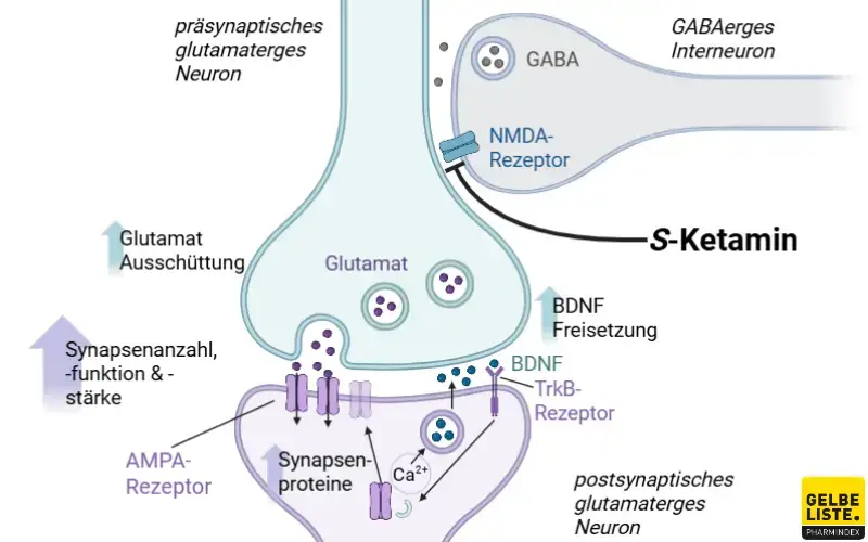 Ketamin-Wirkmechanismus Ketamin-Wirkmechanismus