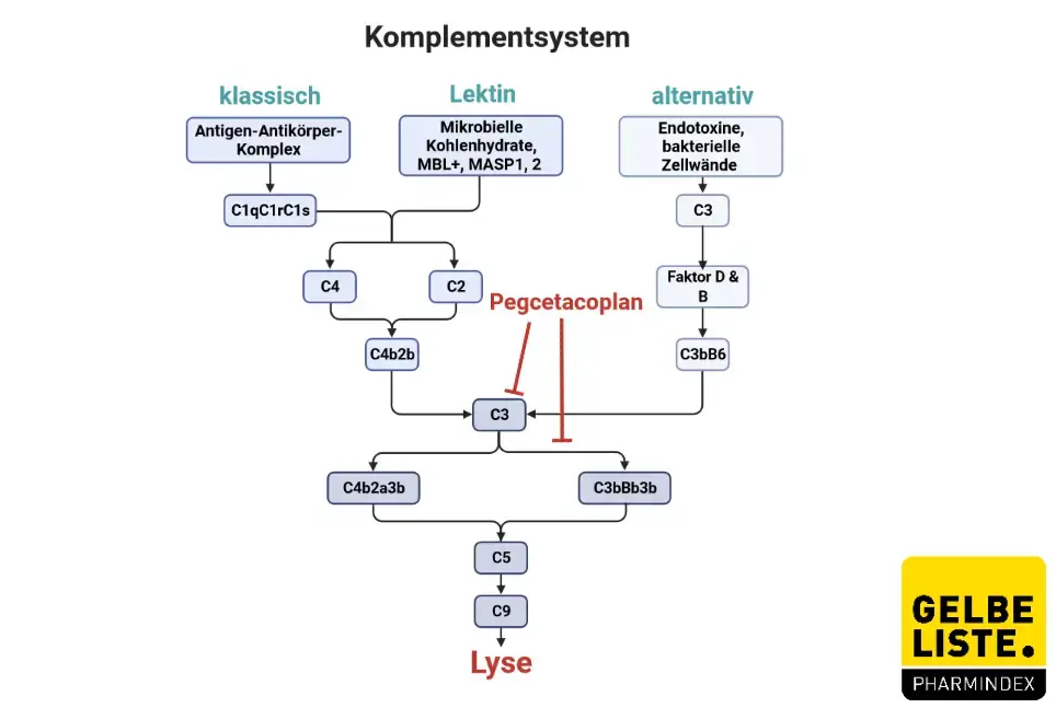 Komplementsystem Komplementsystem