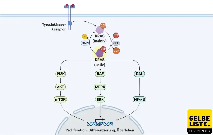 KRAS-Pathway KRAS-Pathway