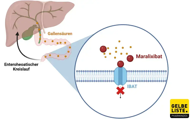 Maralixibat Maralixibat