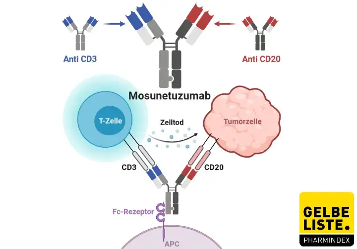 Mosunetuzumab Mosunetuzumab