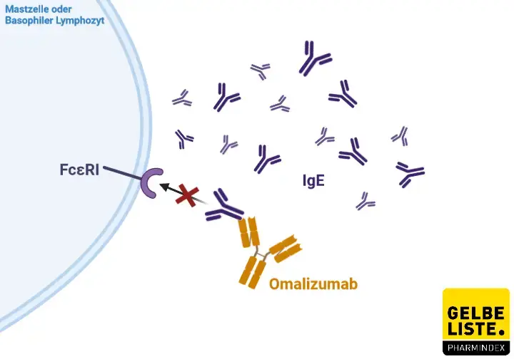 Omalizumab Omalizumab