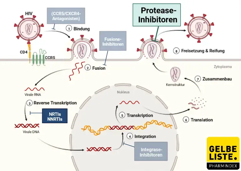 Protease-Inhibitoren Protease-Inhibitoren