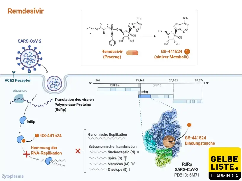 Remdesivir Remdesivir