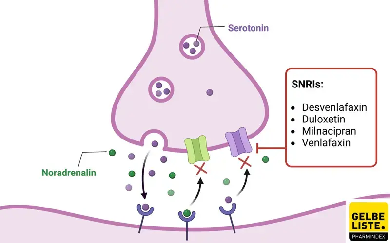 SNRI SNRI
