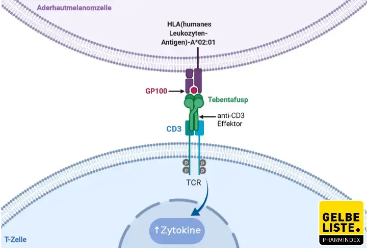 Tebentafusp Tebentafusp