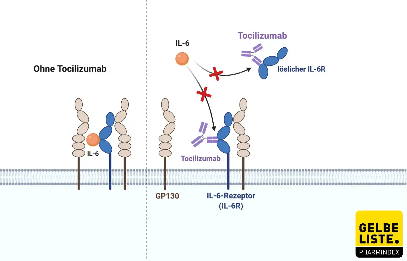 Tocilizumab 2 Tocilizumab 2
