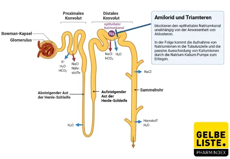 Triamteren Triamteren