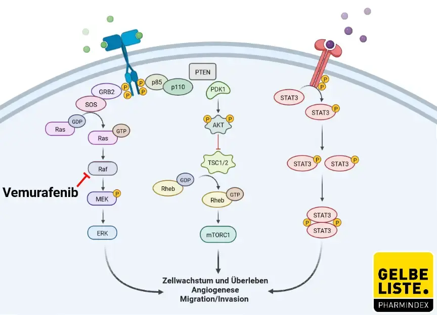 Vemurafenib 2 Vemurafenib 2