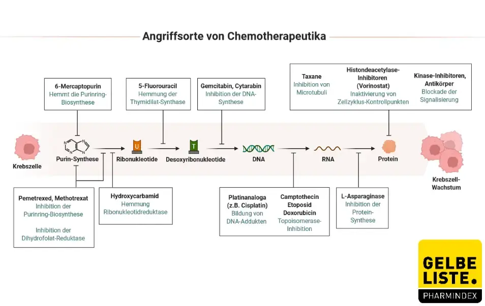 Zytostatika Zytostatika